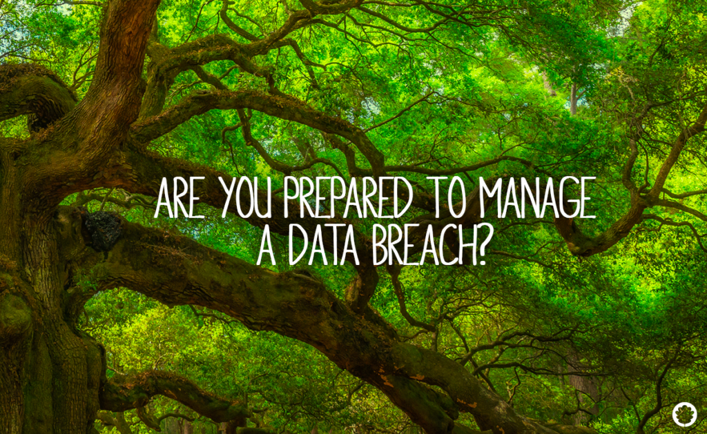 Teleworking, bring your own device, shadow it, returning to the office... are you prepared to manage a data breach?